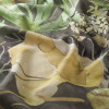 Chivasso - Heaven's Garden - CH3153/040
