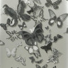 Christian Lacroix - Butterfly Parade - PCL008/06 Zinc