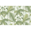 Cole & Son - Palm Jungle - F111/2007LU