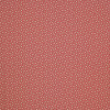 Colefax and Fowler - Mazely - F4333/05 Red