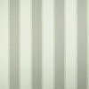 Colefax and Fowler - Shelby Stripe - F4612/02 Silver
