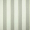 Colefax and Fowler - Shelby Stripe - F4612/02 Silver