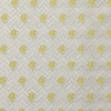 Dedar - Dragueur - T18035-002