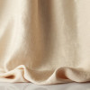 Dedar - Signor Darcy - T19031-005 Rose Poudré
