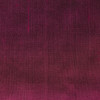 Dedar - Venere - VENER-024