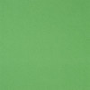 Designers Guild - Santiago - F1650/26 Leaf