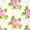 Designers Guild - Charlottenberg - F1800/03 Peony