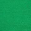 Designers Guild - Lesina - F2067/11 Emerald