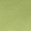 Designers Guild - Mojave - FDG2167/21 Grass