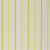 Designers Guild - Brera Nastro - FDG2263/04 Lime