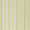 Designers Guild - Brera Nastro - FDG2263/04 Lime