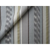 Jim Thompson - Dynasty - Flaming Stripe 2098-01