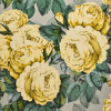  John Derian - The Rose - PJD6002/05 Mimosa