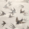  John Derian - Chimney Swallows - PJD6003/02 Dusk
