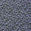 Lelievre - Tilt 465-07 Taupe