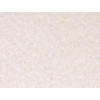 Lelievre - Western 533-01 Craie