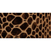 Lelievre - Boidae 617-02 Savane