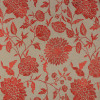 Manuel Canovas - Miramas - Corail 4708/05