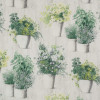 Manuel Canovas - Les Cevennes - Vert de Gris 4762/01