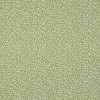 Manuel Canovas - Apolline - M4091-05 Kiwi