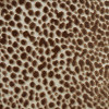 Nobilis - Velours Iconic - Velours Fakir 10570-14