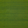 Nobilis - Bangalore No 2 10682-74