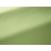 Pierre Frey - Toile mistral - F3522021 Pousse
