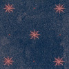 Rubelli - Festa - 30381-006 Blue Pink