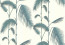 Cole & Son - New Contemporary I - Palm Leaves 66/2012