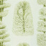 Designers Guild - Linnaeus - Moss - F1803-04