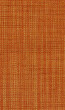 Osborne & Little - Papilio Plain 2 F5760-12