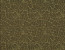 Jim Thompson - Illumination - Illumination 3384-02