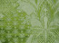 Tassinari & Chatel - Trianon - 1664-04 Vert