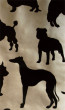 Osborne & Little - O&L Wallpaper Album 6 - Best in Show W5872-02